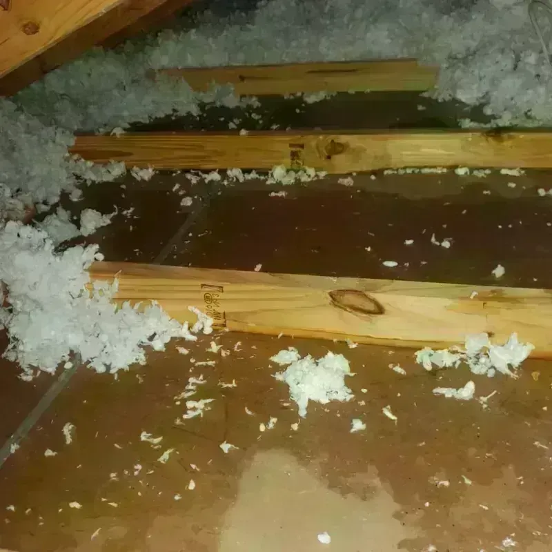 Attic Water Damage in Val Verde Park, TX