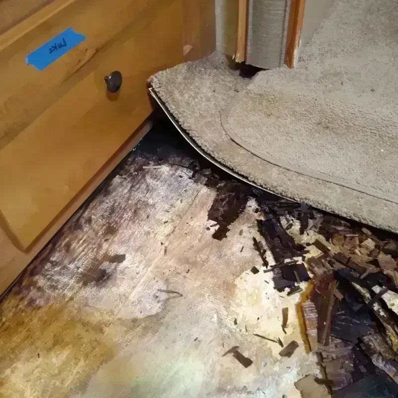 Wood Floor Water Damage in Val Verde Park, TX